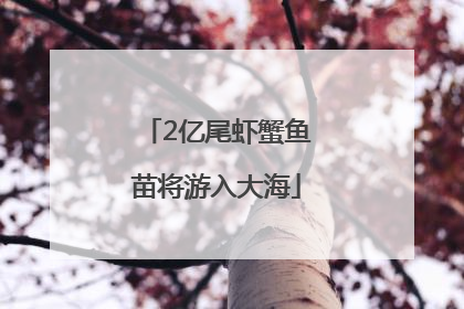 2亿尾虾蟹鱼苗将游入大海